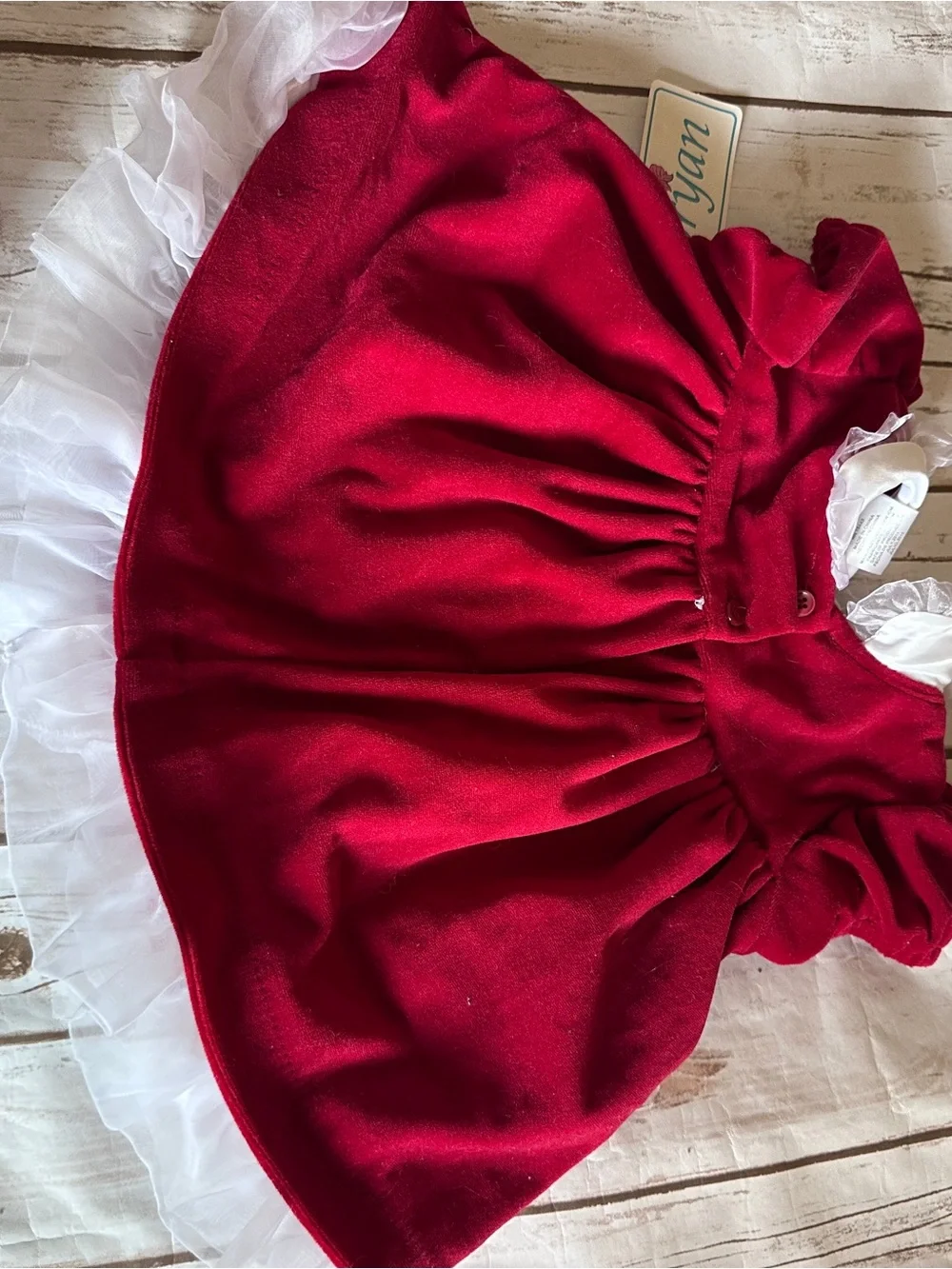 Vintage Bryan Red Velvet Dress